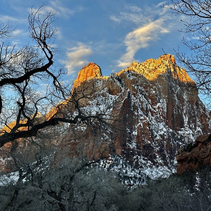 About Zion & Springdale: Where Our Lavender Story Begins